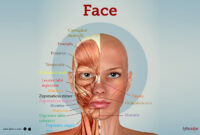 Face Mist SOMETHINC HydraBounce – Segarkan Atau Tidak?
